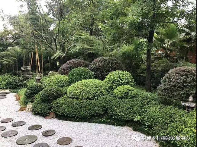 微信图片_20200415102756.jpg