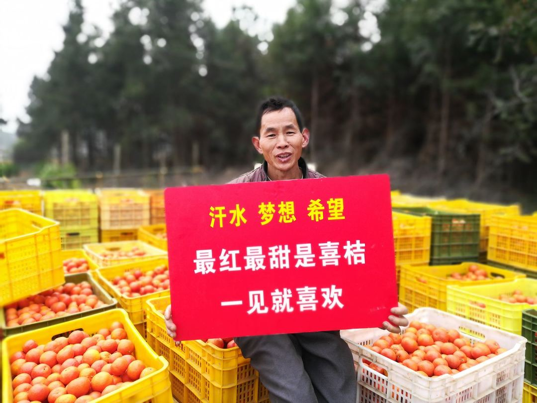 图片7.png
