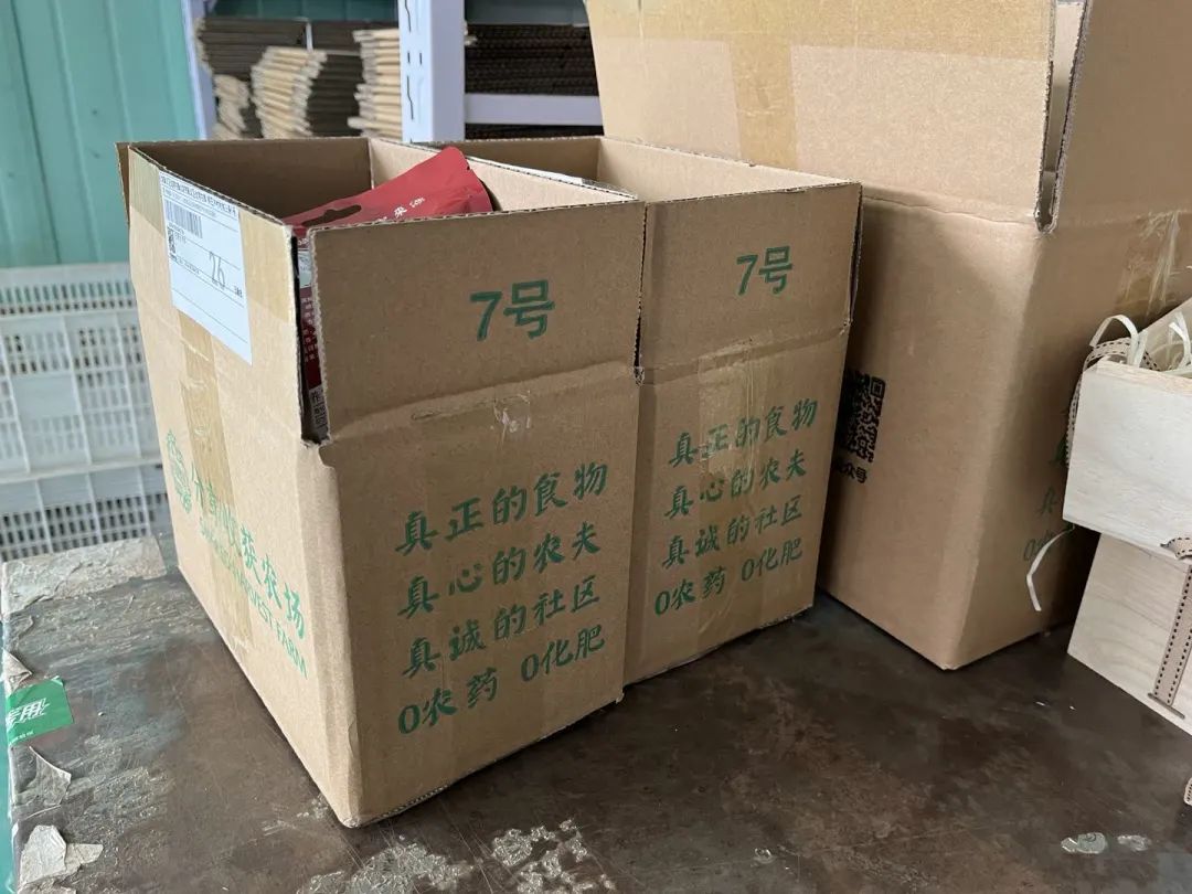 图片5.jpg