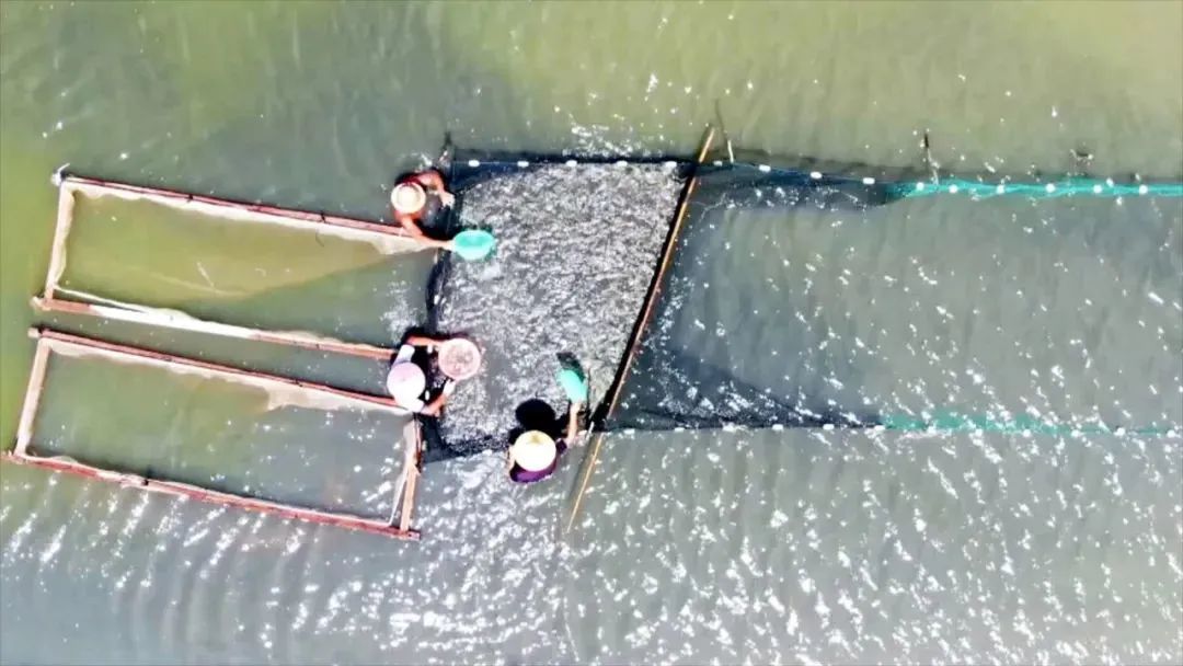 图片6.jpg