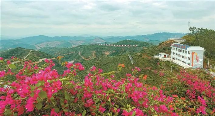 图片1.jpg