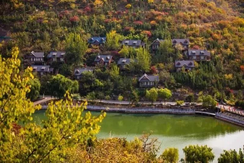 1678779240923591.jpg 山东中赫峪村.jpg