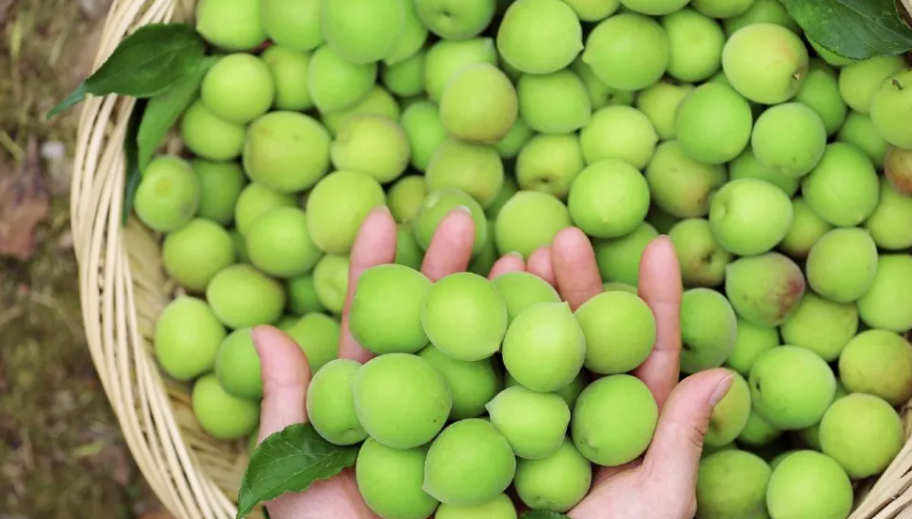 1735894412924678.png image.png